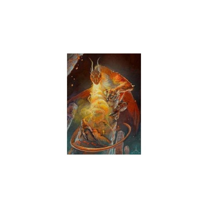 Protège-cartes illustré Wizard's Choice Picture standard - Dragon of the Lava Mountains