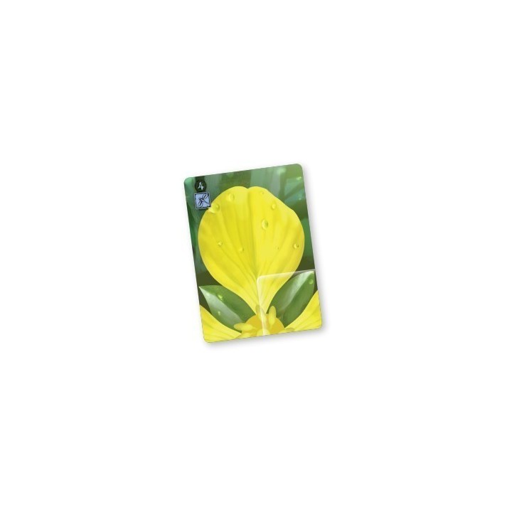 Jeux de société - Lotus