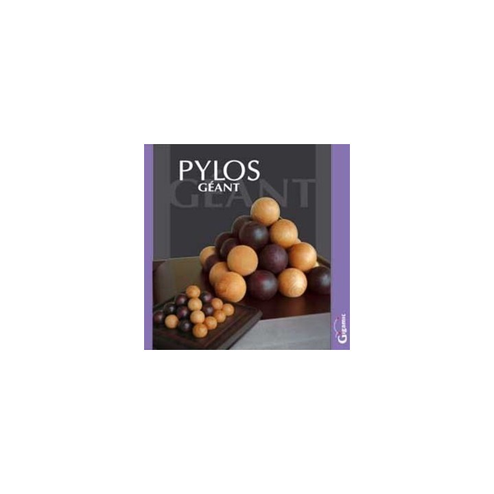 Jeux de société - Pylos