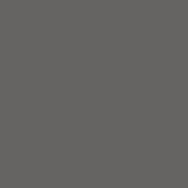 Extra Opaque Gris
