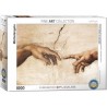 Puzzle Eurographics : Michelangelo - La creation d'Adam - 1000 Pièces