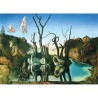 Puzzle Eurographics : Dali- Cygnes reflétant des éléphants - 1000 Pièces