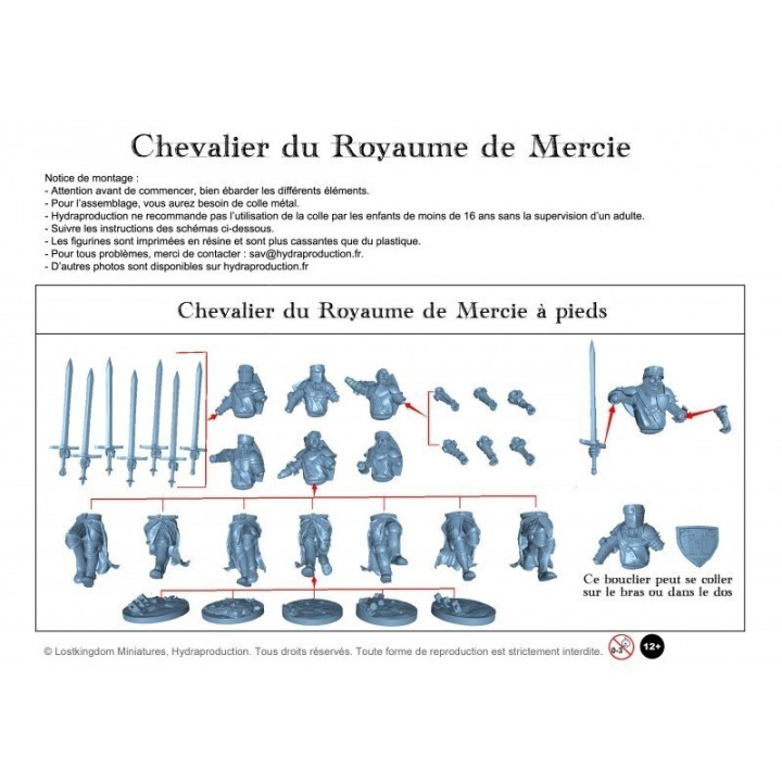 Figurine à peindre : Régiment de 10 Chevaliers du royaume de Mercie à pieds