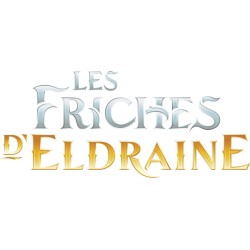 MTG - Booster Draft Magic Les friches d'Eldraine Boite Complète