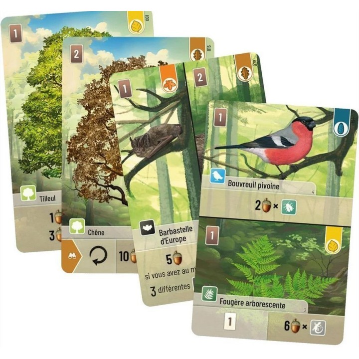 Jeux de société - Forêt Mixte