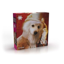 Puzzle ABI 1000 - Magichien