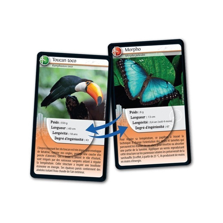 Jeux de société - Défis Nature - Animaux inspirants