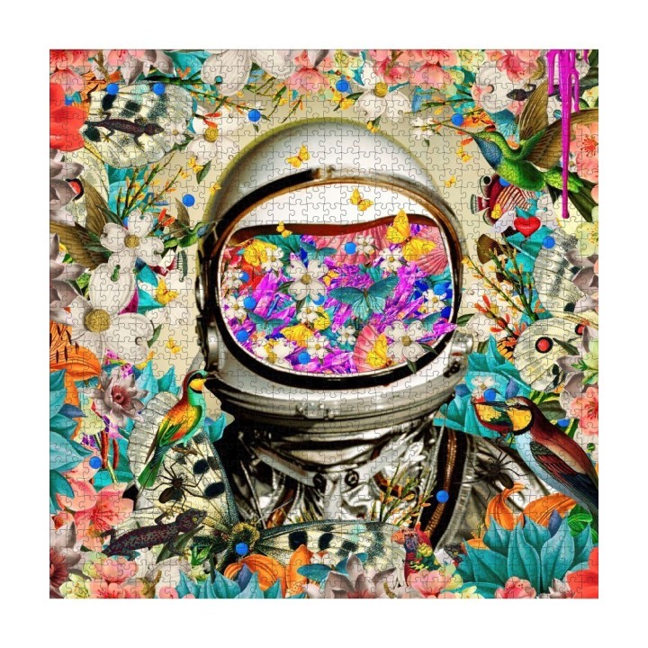 Puzzle Pomegranate : David Krovbiltt : Astronaut - 1000 Pièces