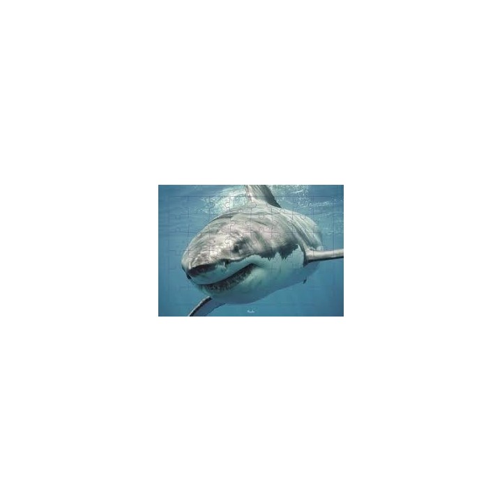 Puzzle Piccolia - Requin - 48 pièces
