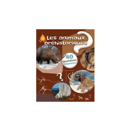 Livre - 40 questions/ réponses - Les Animaux Des Mers