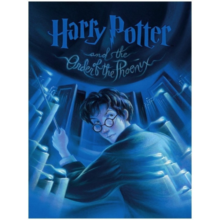 Puzzle New York Puzzle Company - Harry Potter and The Order of the Phenix - 1000 Pièces
