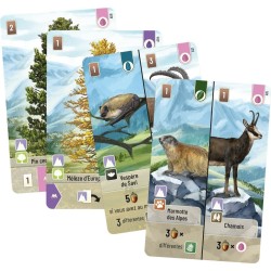 Jeux de société - Forêt Mixte - Alpes