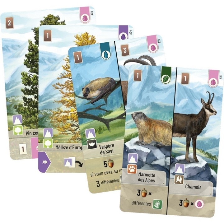 Jeux de société - Forêt Mixte - Alpes