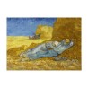 Puzzle Enjoy Puzzle : Vincent Van Gogh - The Siesta - 1000 Pièces