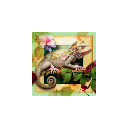 Puzzle Wooden City : Chameleon and Flowers - 505 Pièces