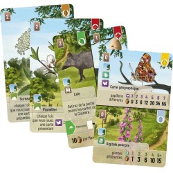 Jeux de société - Forêt Mixte - Extension : Lisière de Forêt