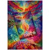 Puzzle Enjoy Puzzle : Rainbow Epicenter - 1000 Pièces