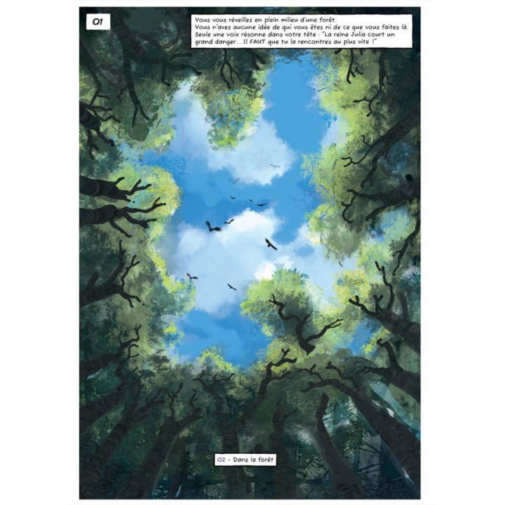 La BD dont vous êtes le héros - La Cité d'Aria : Le Couronnement