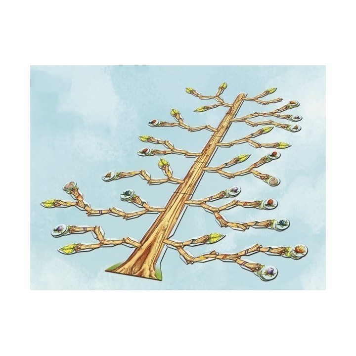 Jeux de société - L'Arbre