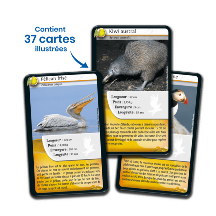 Jeux de société - Défis Nature - Oiseaux