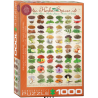 Puzzle Eurographics : Herbes et épices - 1000 Pièces