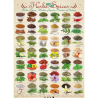 Puzzle Eurographics : Herbes et épices - 1000 Pièces
