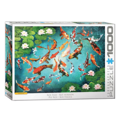 Puzzle Eurographics Fine Art - Guido Boreli : Poisson Koï - 1000 Pièces