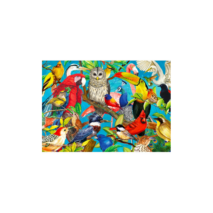 Puzzle Enjoy Puzzle : Feathered Frenzy - 1000 Pièces