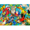 Puzzle Enjoy Puzzle : Feathered Frenzy - 1000 Pièces