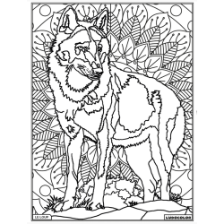 Ludocolor : Tableau velours - Le Loup