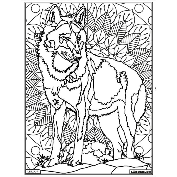 Ludocolor : Tableau velours - Le Loup