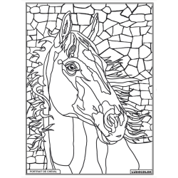 Ludocolor : Tableau velours - Portrait de Cheval