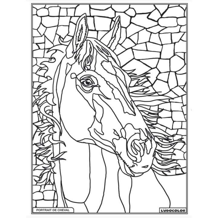 Ludocolor : Tableau velours - Portrait de Cheval