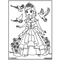 Ludocolor : Tableau velours - La Princesse
