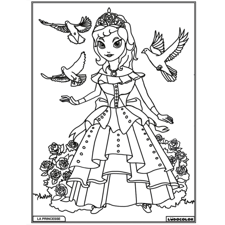 Ludocolor : Tableau velours - La Princesse