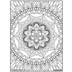 Ludocolor : Tableau velours - Le Mandala Floral
