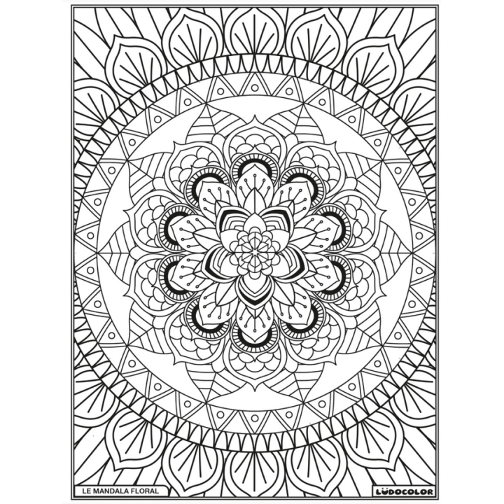 Ludocolor : Tableau velours - Le Mandala Floral