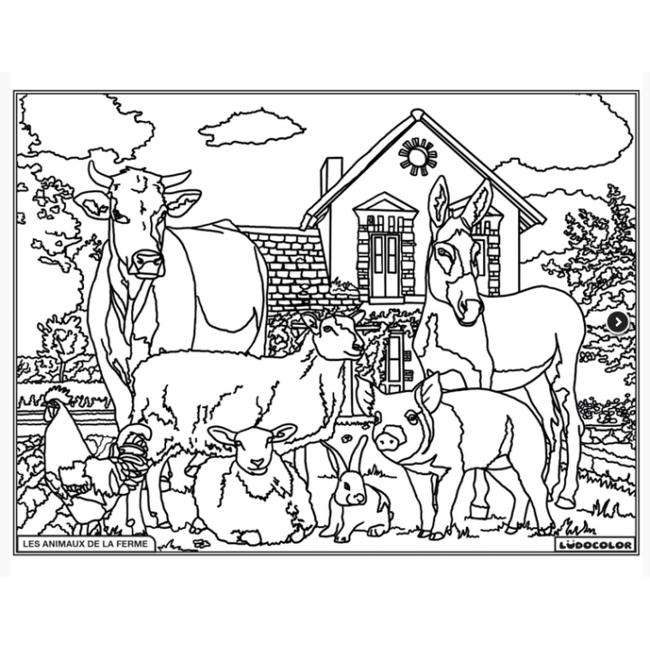 Ludocolor : Tableau velours - Jument et Poulain