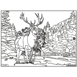 Ludocolor : Tableau velours - Le Cerf