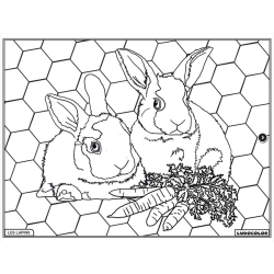 Ludocolor : Tableau velours - Les Lapins Nains