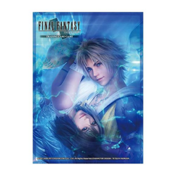 Protège Carte - Final Fantasy X : Tidus et Yuna