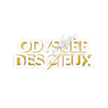PROCHAINEMENT : Altered : L’Odyssée des Cieux - Booster