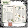 Jeux de rôle - Incroyables Détectives de Monstres : Livre de base