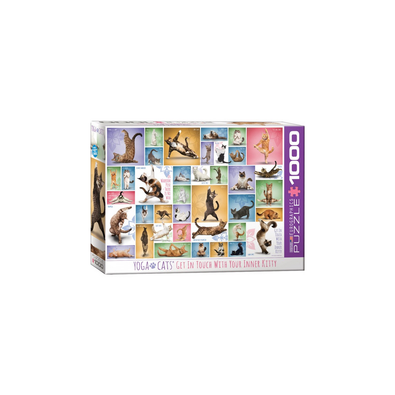 Puzzle Eurographics - Yoga Cats - 1000 Pièces
