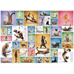 Puzzle Eurographics - Yoga Cats - 1000 Pièces