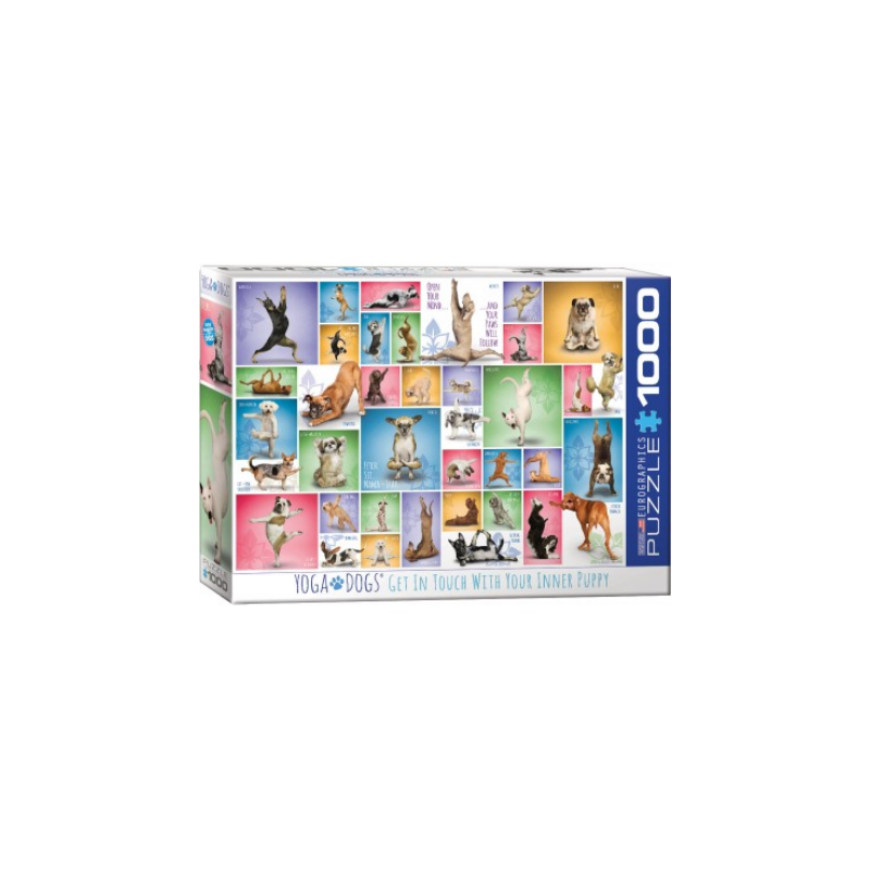 Puzzle Eurographics - Yoga Dogs - 1000 Pièces
