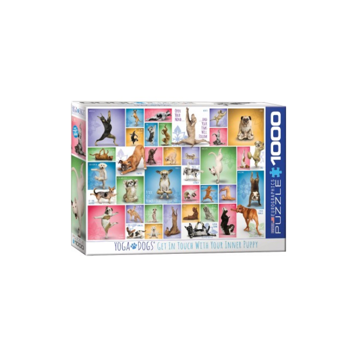 Puzzle Eurographics - Yoga Dogs - 1000 Pièces