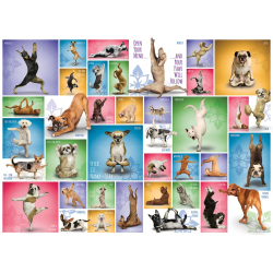 Puzzle Eurographics - Yoga Dogs - 1000 Pièces