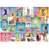 Puzzle Eurographics - Yoga Dogs - 1000 Pièces