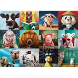 Puzzle Eurographics - Drôles d'Animaux - 1000 Pièces